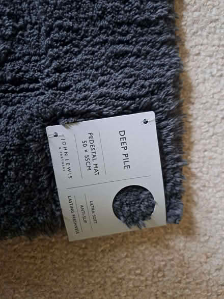 Photo of free Bathroom pedestal rug (Caversham RG4) #1