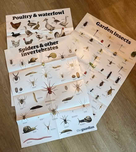 Photo of free Animal and plant posters (Sevenoaks, near Station) #1