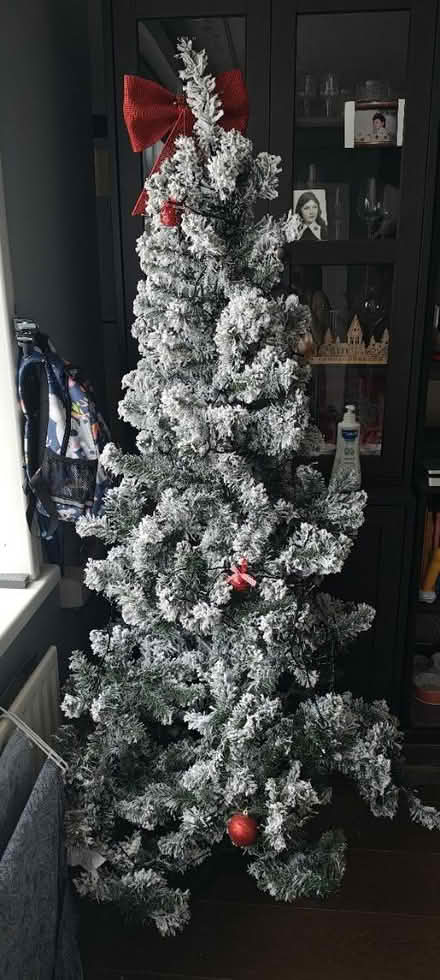 Photo of free Snowy Christmas tree+ lights (Shiregreen S5) #1