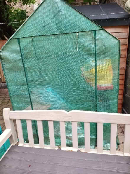 Photo of free Walk In Greenhouse (Bruntsfield EH10) #2
