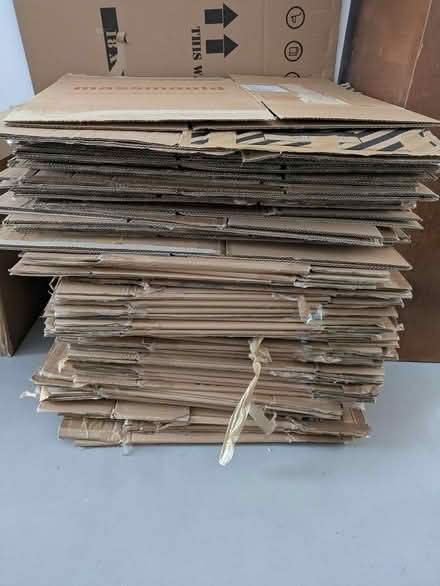 Photo of free Moving boxes and tissue (Ls8) #1