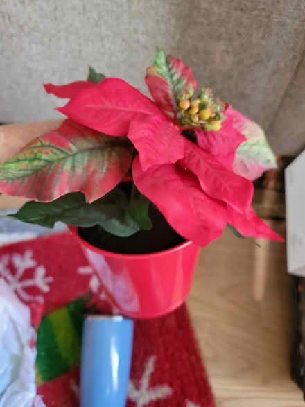 Photo of free Xmas stuff (20011) #2