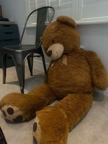 Photo of free Huge teddy (KT8 East Molesey) #1