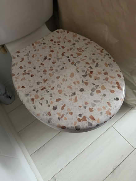 Photo of free Toilet seat (Albert Village) #2