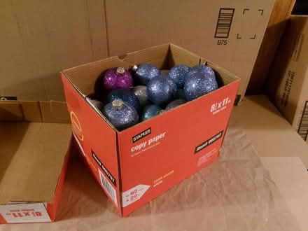 Photo of free Box of Glitter Ornaments (Northwest Frederick) #1
