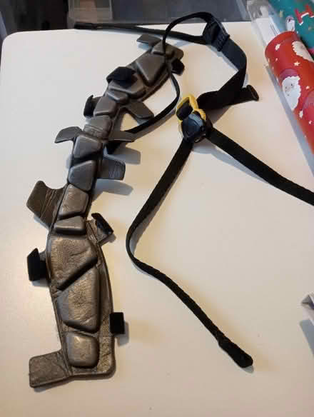 Photo of free Petzl helmet strap (Dovecote BS37) #1