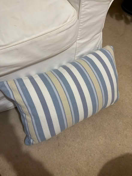 Photo of free Rectangular pillow (Bs15 4ub) #2