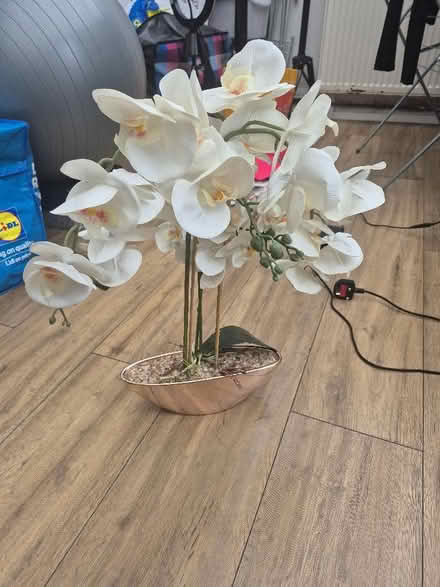 Photo of free Artificial plant (West Thornton CR7) #1