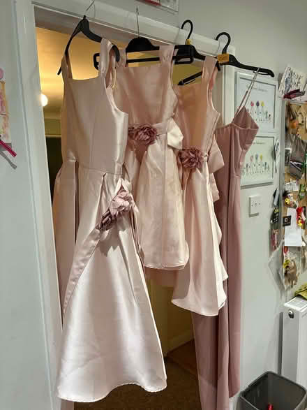 Photo of free Bridesmaids Dresses (CT10) #3