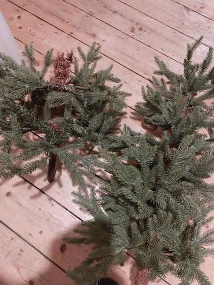 Photo of free Xmas tree - Artificial (New Malden KT3) #4