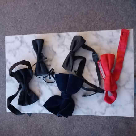 Photo of free Bow ties (shepperton) #1