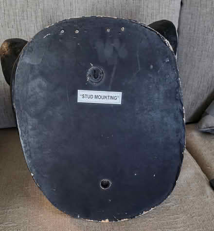 Photo of free Bear head (Stoneham) #2