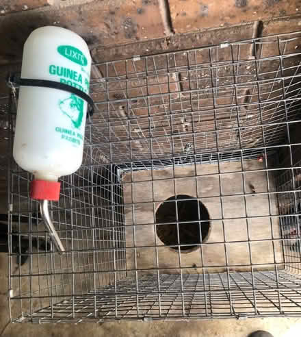 Photo of free Rabbit hutch (greensborough) #2