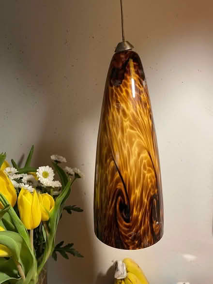 Photo of free Glass pendant lamp (The Annex. Bloor/Bathurst) #1
