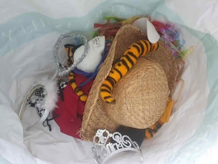 Photo of free Bag of mixed fancy dress (Adel LS16) #2