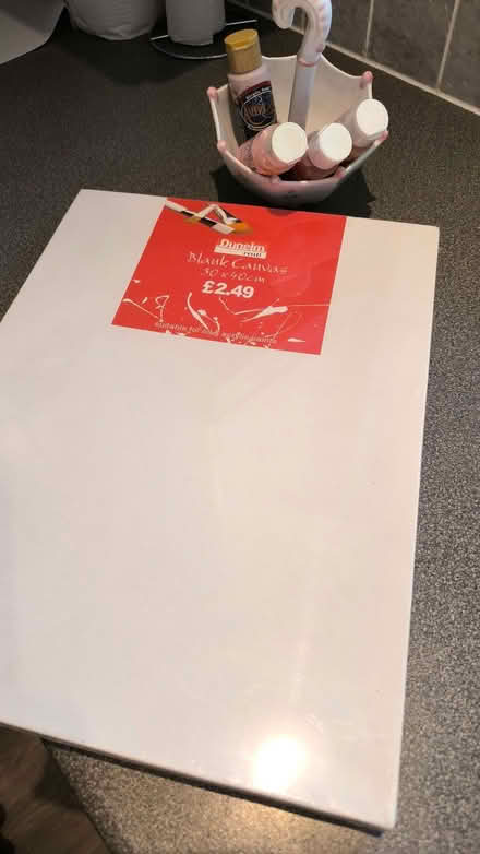 Photo of free Blank canvas and acrylic paints (The Camp AL1) #1