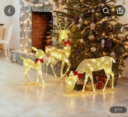 Photo of free Reindeer lights (Burgess Hill RH15) #1