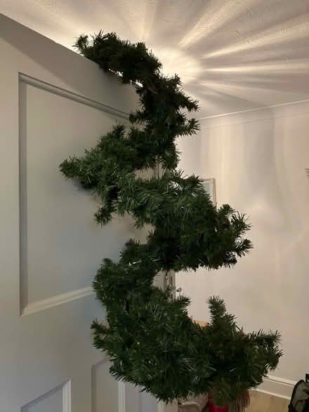 Photo of free Spiral garland (Wickford SS12) #1