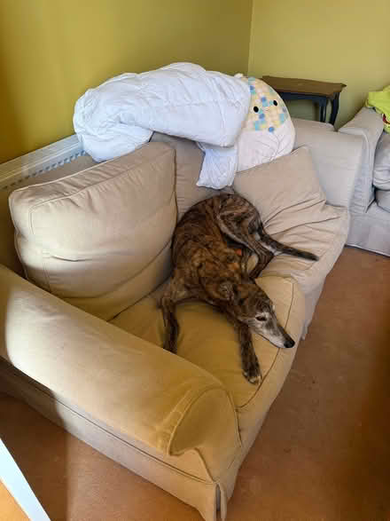 Photo of free 3 seater and 2 seater sofa (Huddersfield HD3) #3