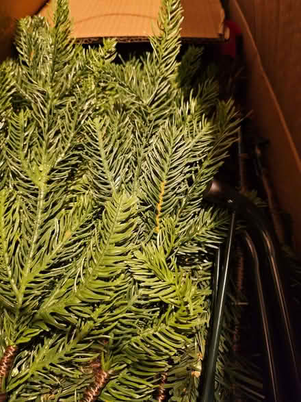 Photo of free Christmas Tree B - 6ft (Henbury BS10) #4
