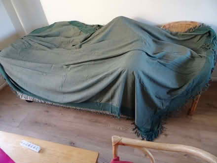 Photo of free Green throw (Eaton NR4) #1