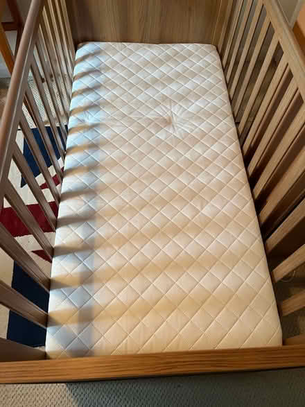 Photo of free Cot (Sneath Common NR15) #2