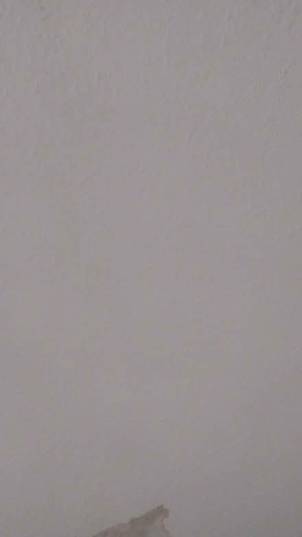 Photo of 2 metres of woodchip wallpaper (Corby Hill CA4) #1