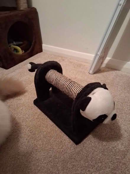 Photo of free Cat scratcher for kitten (Titchfield Common PO14) #2