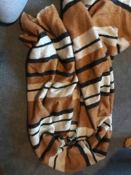 Photo of free Large scarf (Whalley Range M16) #2