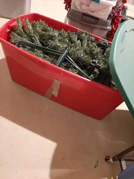 Photo of free 6ft artificial Christmas tree (Stonehaven development) #1