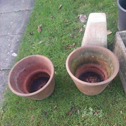 Photo of free Plant and pots (Jesmond Park East NE7) #2