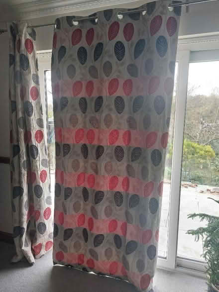 Photo of free Curtains (Withdean BN1) #2