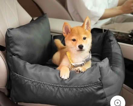 Photo of Dog travel bed (Clayton Green PR6) #1