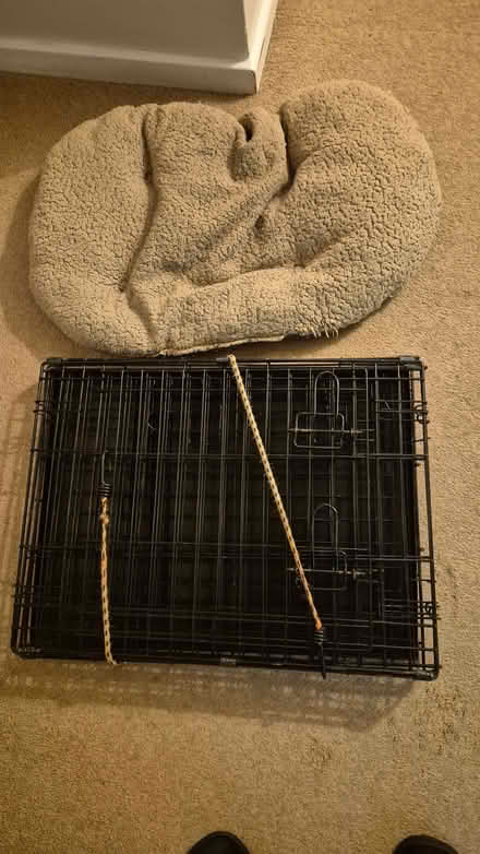 Photo of free Dog Safety Crate (Royal Wootton Bassett SN4) #2