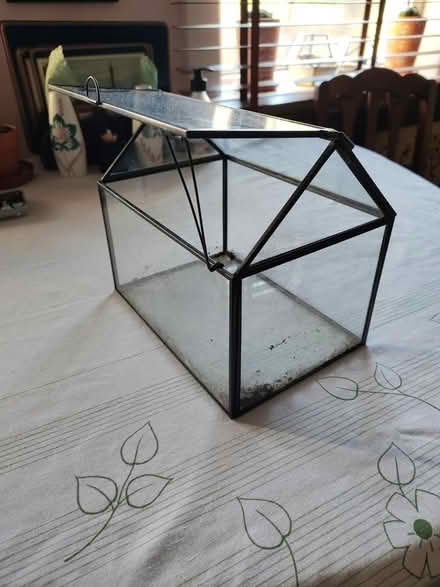 Photo of free Glass Terrarium (TN39) #2