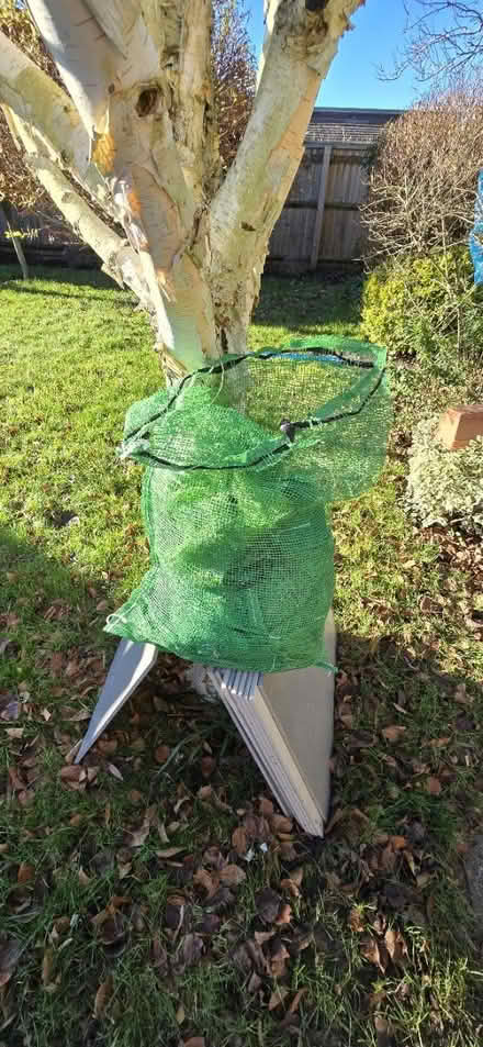 Photo of free Net bags from logs (North Leigh OX29) #2