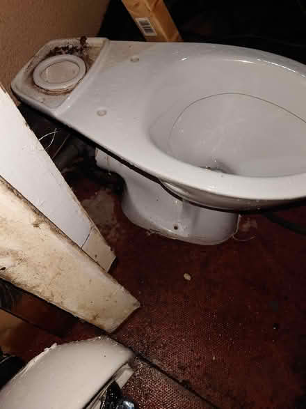 Photo of free Toilet sink radiator (St Helens WA10) #1