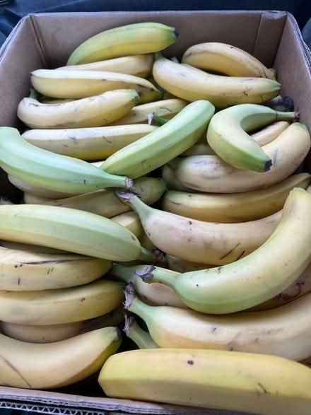 Photo of free Bananas (Lake City/Meadowbrook) #1