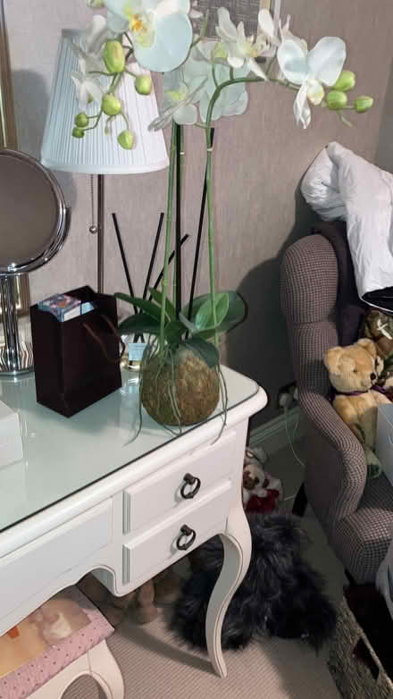 Photo of free Faux orchid (Old Windsor SL4) #2