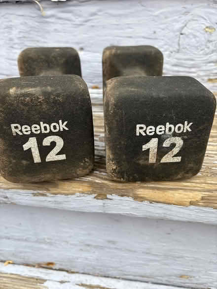 Photo of free 12 pound weights (16 Alfred terrace,Medford) #1