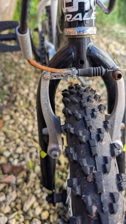Photo of free Kids bike 16" wheels (4-6yrs) (Landport, Lewes) #3