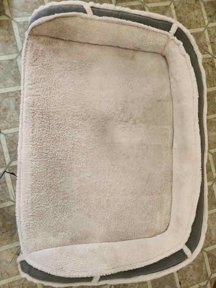 Photo of free Large doggie bed good condition (Near wilcox high school) #1