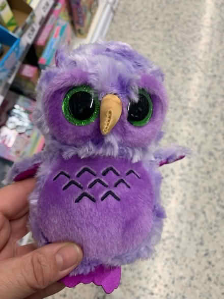 Photo of Beanie babies soft toys (Royston) #2