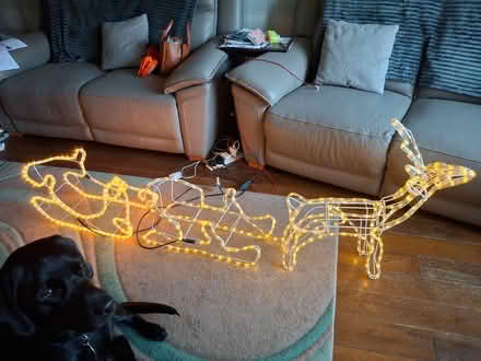 Photo of free Lighting Reindeer and sleigh (Lancaster - Newmarket Avenue) #2
