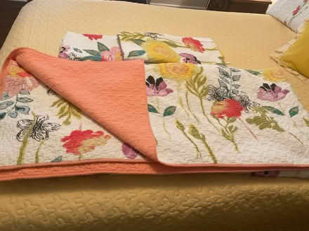 Photo of free Warm Quilt and Shams (Alta Vista area) #2