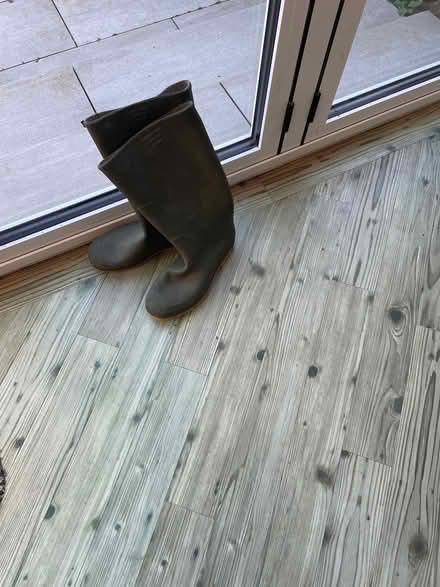 Photo of free Wellington Boots (Leigh on sea SS9) #1