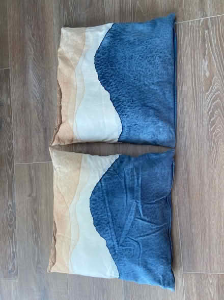 Photo of free 2 cushions 50x50 cm (Weeke, Winchester SO22) #1