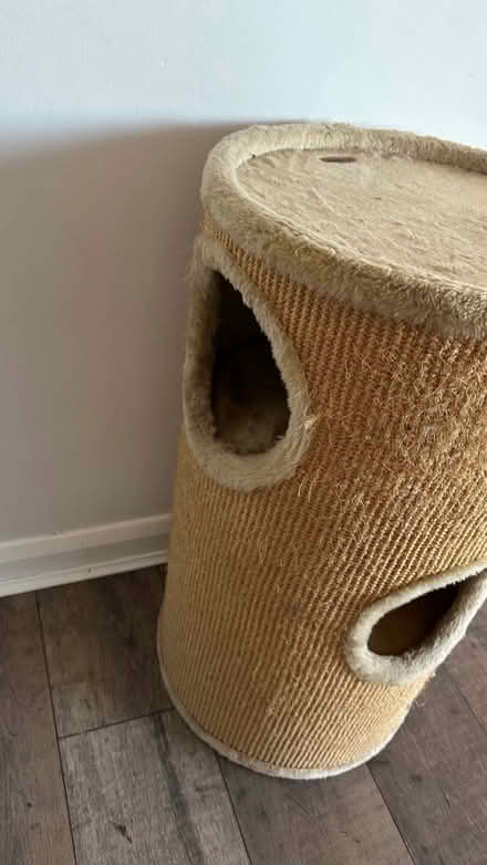 Photo of free 38cm x 70cm Cat Scratching Station (Isleworth) #3