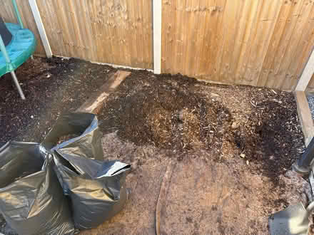 Photo of free Bark chipping mulch (Wickford SS12) #1
