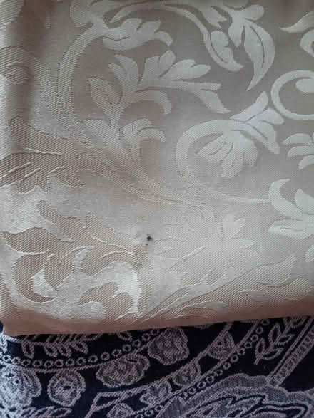 Photo of free Gold Jacquard Tablecloth (Fareham PO15) #3